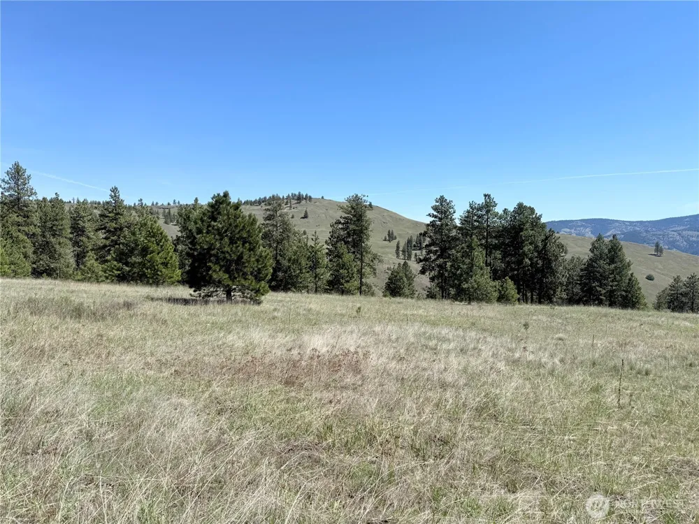 35 Sqove Road Wauconda, WA 98859