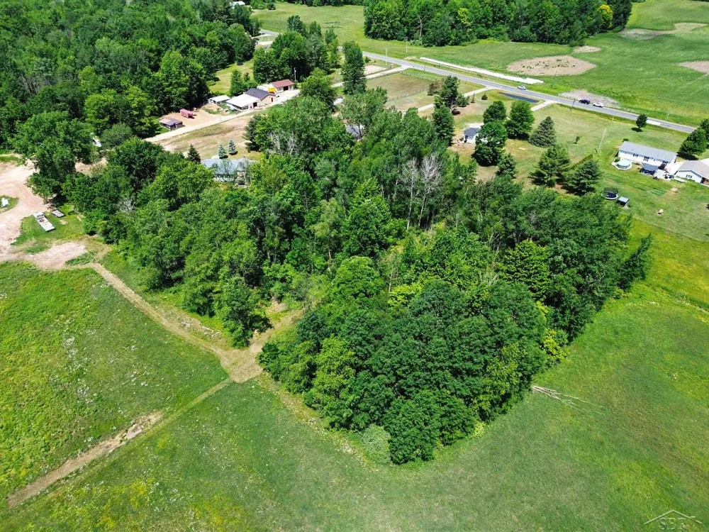 2424 E Shaffer Road Mills Township, MI 48642