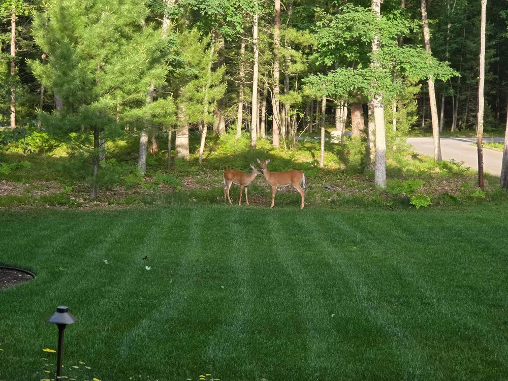 586 Starflower Lane Whitewater Township, MI 49696