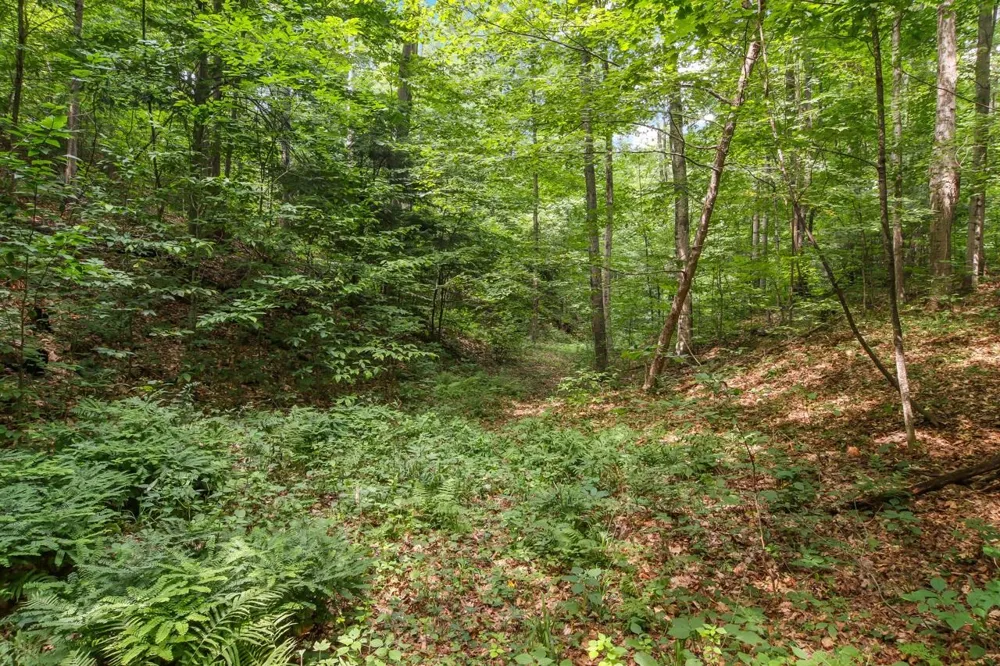 Hoeft Road Leland Township, MI 49653