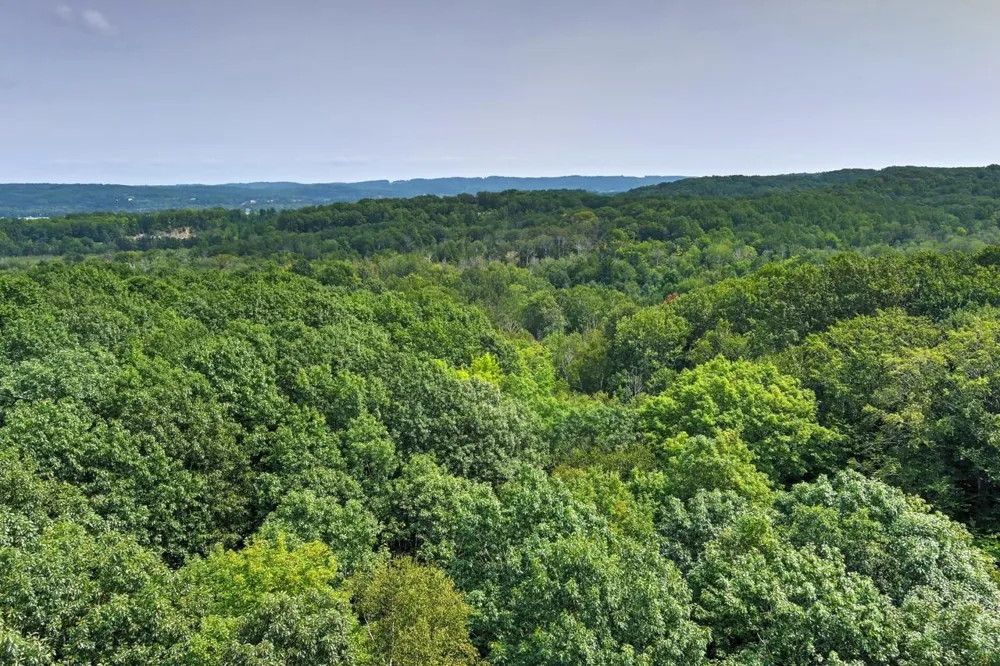 Hoeft Road Leland Township, MI 49653