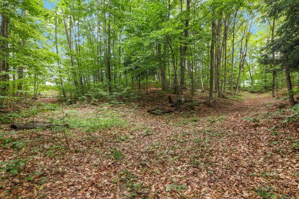 Hoeft Road Leland Township, MI 49653