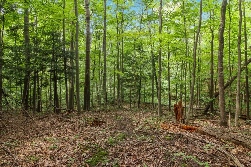 Hoeft Road Leland Township, MI 49653
