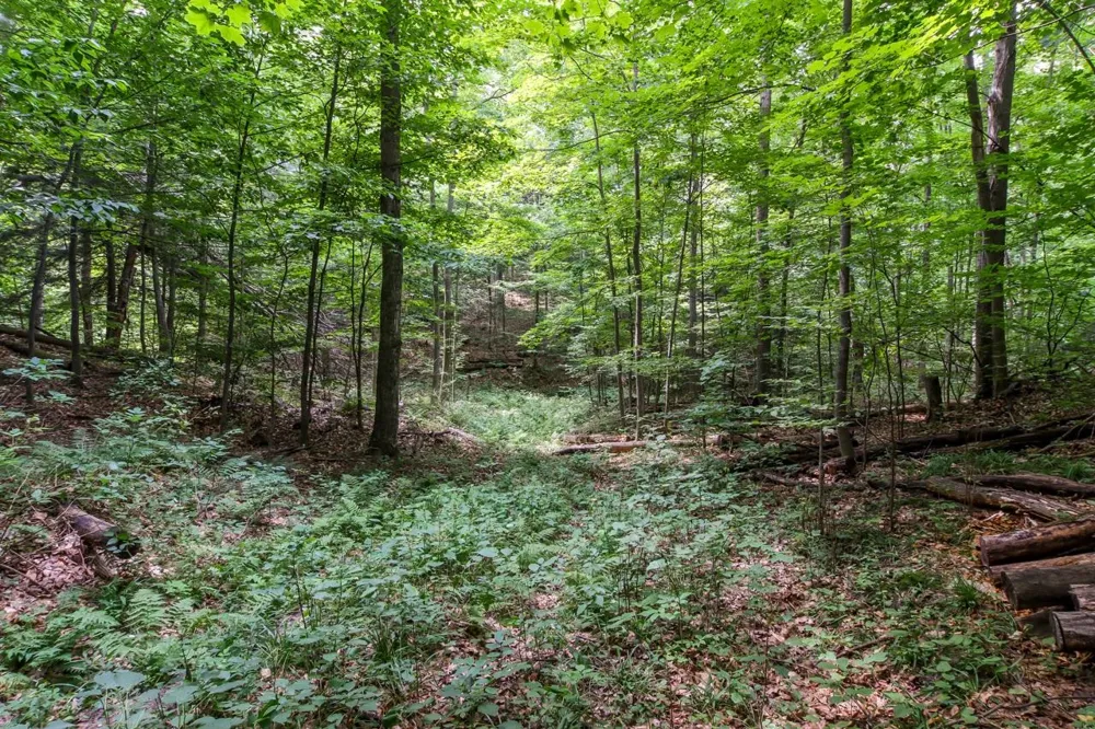 Hoeft Road Leland Township, MI 49653