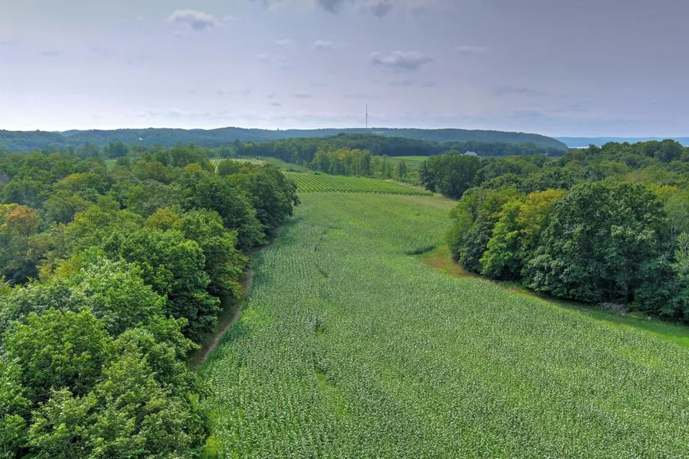 Hoeft Road Leland Township, MI 49653