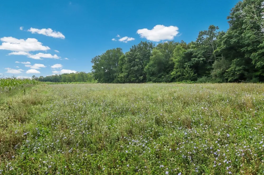 Hoeft Road Leland Township, MI 49653