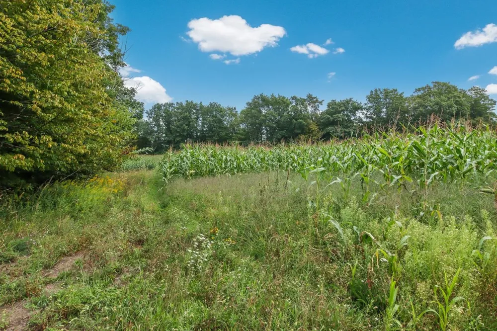 Hoeft Road Leland Township, MI 49653