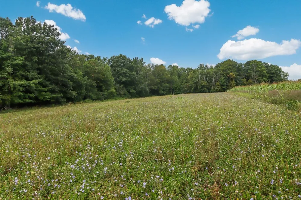 Hoeft Road Leland Township, MI 49653