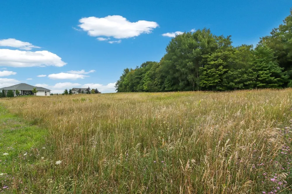 Hoeft Road Leland Township, MI 49653