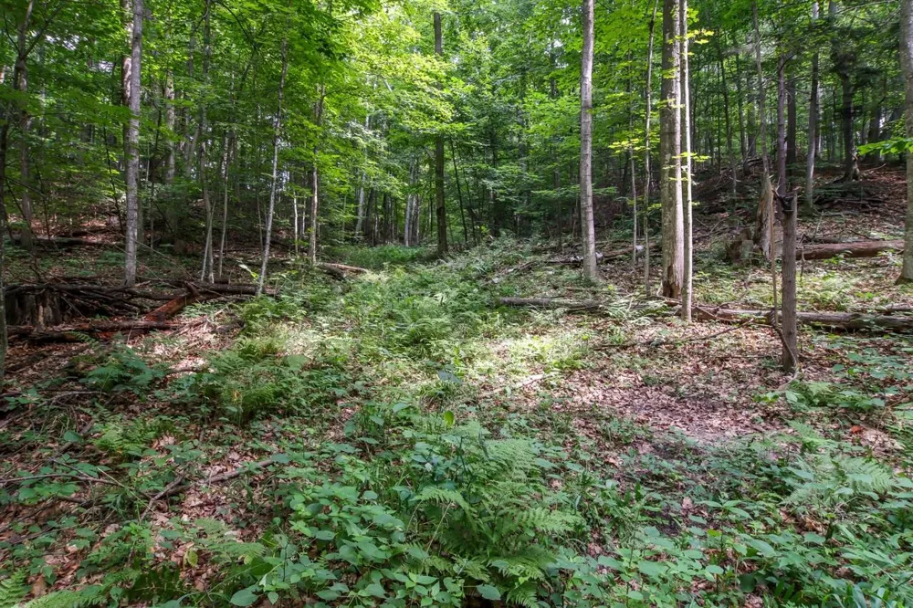 Hoeft Road Leland Township, MI 49653