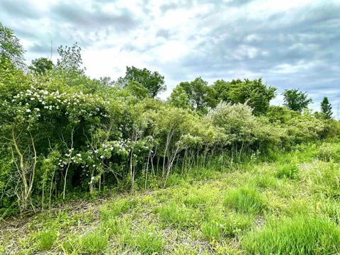 BRAIDWOOD PARCEL 4 ROAD