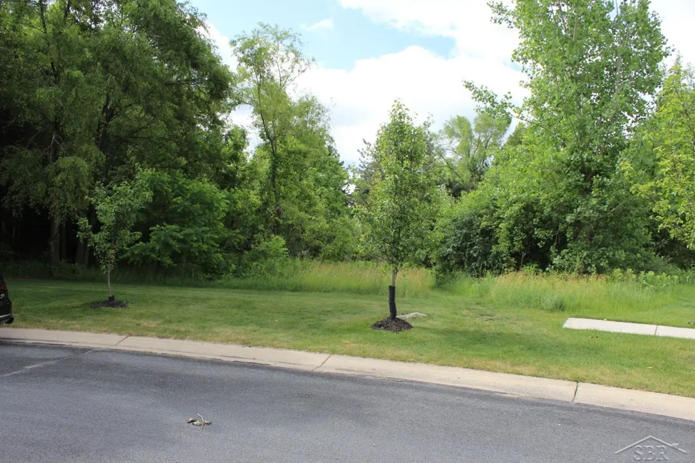 Edgebrook Drive Thomas Township, MI 48609