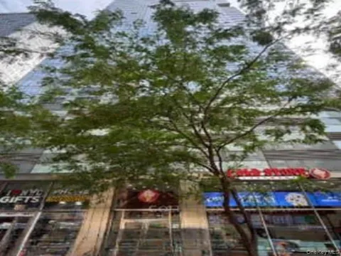 350 W 42nd Street #53C