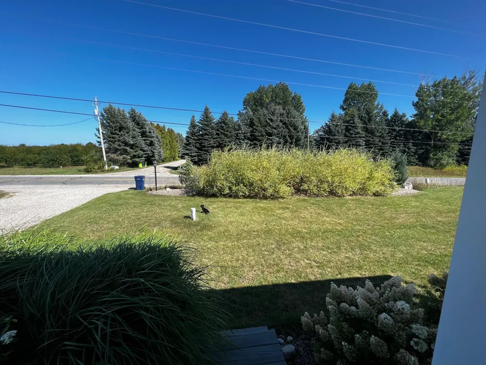 9741 Bates Acme Township, MI 49690
