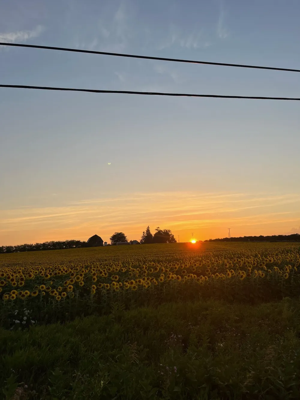 9741 Bates Acme Township, MI 49690