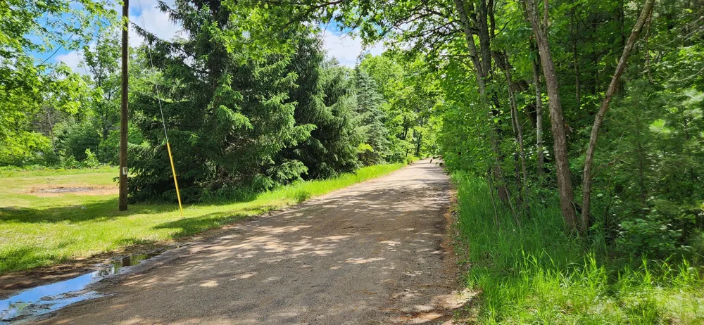 383 W 8 Mile Road Merrill Township, MI 49349