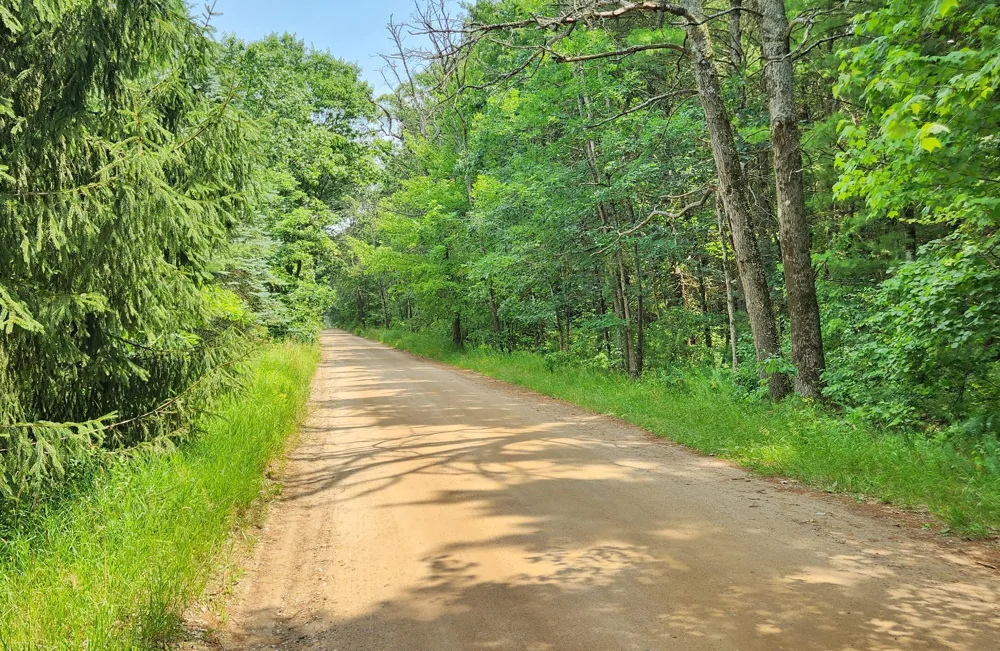 383 W 8 Mile Road Merrill Township, MI 49349