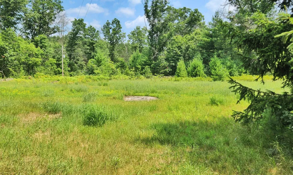 383 W 8 Mile Road Merrill Township, MI 49349