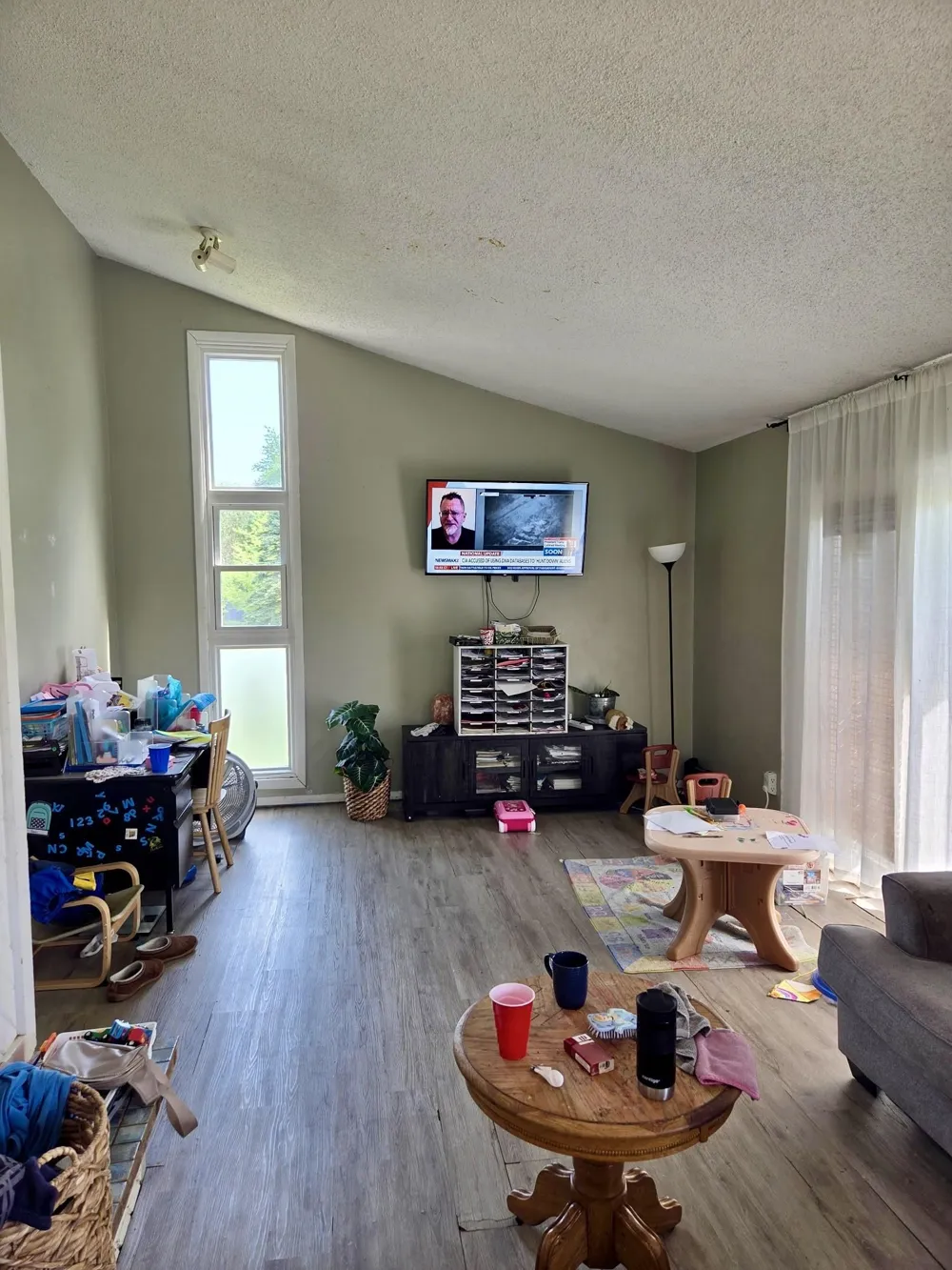 113 Four Square Drive Deerfield Township, MI 48858