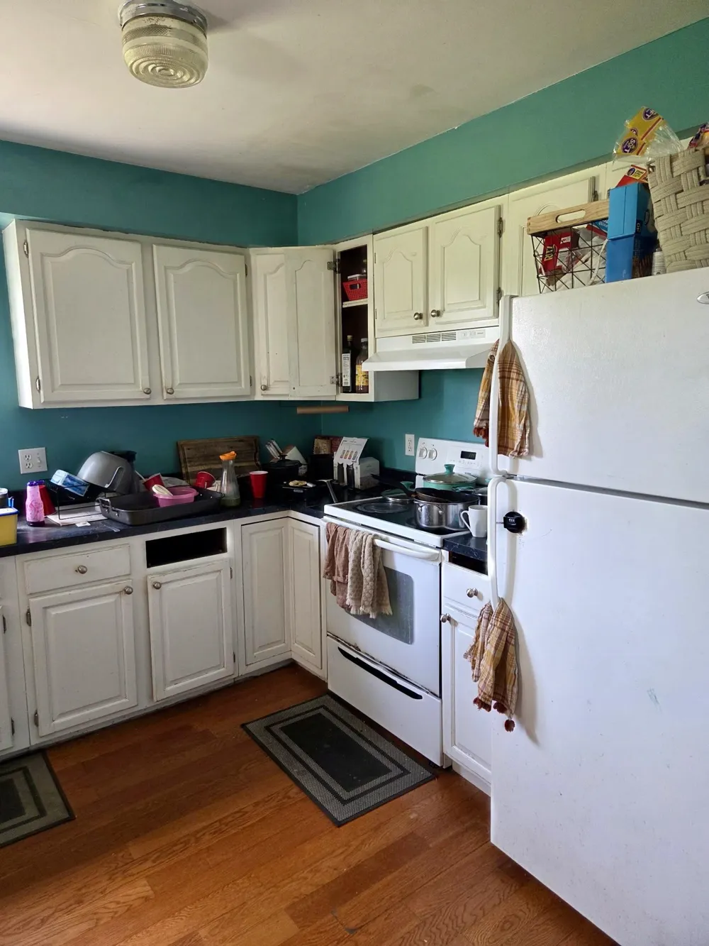 113 Four Square Drive Deerfield Township, MI 48858