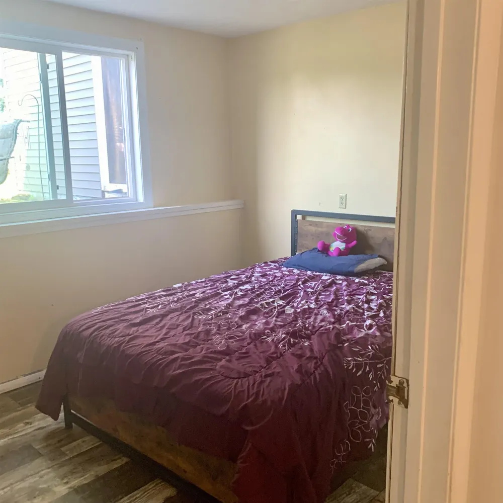 113 Four Square Drive Deerfield Township, MI 48858