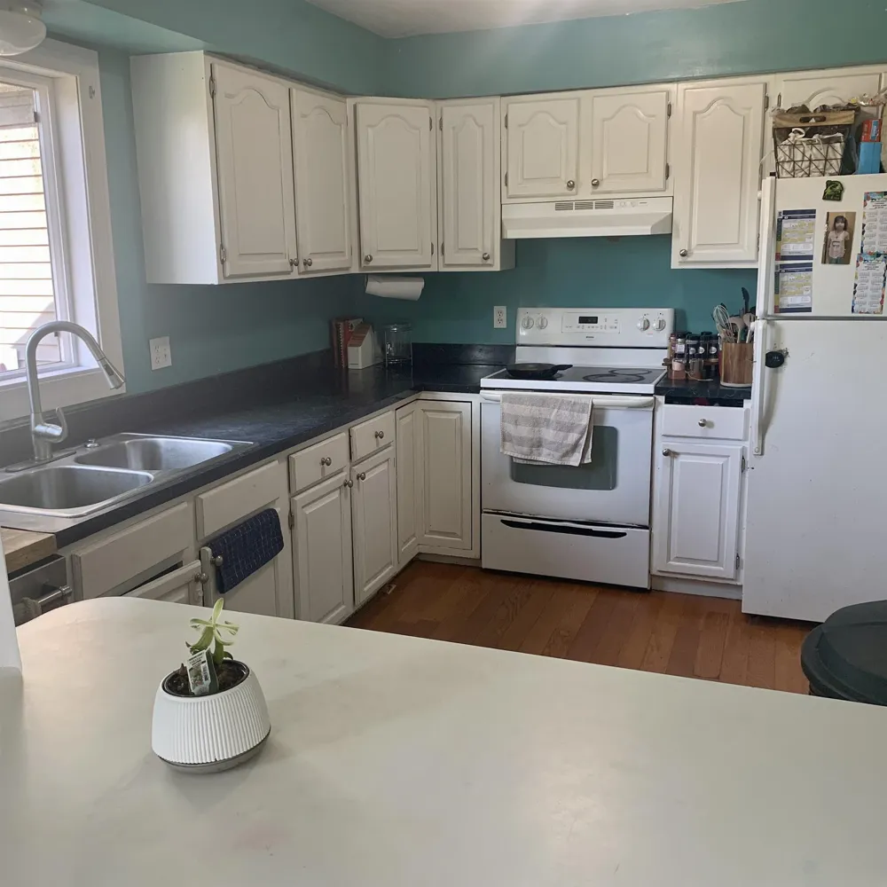 113 Four Square Drive Deerfield Township, MI 48858