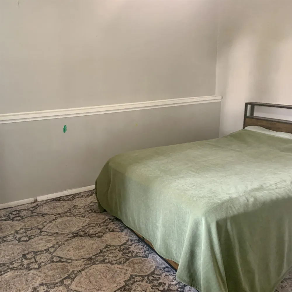113 Four Square Drive Deerfield Township, MI 48858