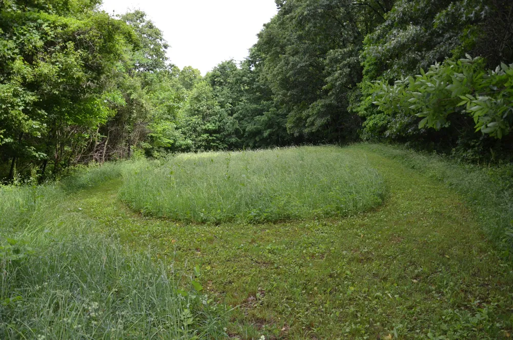 8874 1 Mile Road Leroy Township, MI 49051