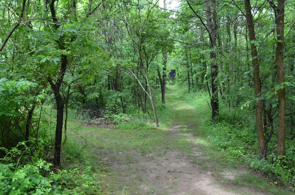 8874 1 Mile Road Leroy Township, MI 49051
