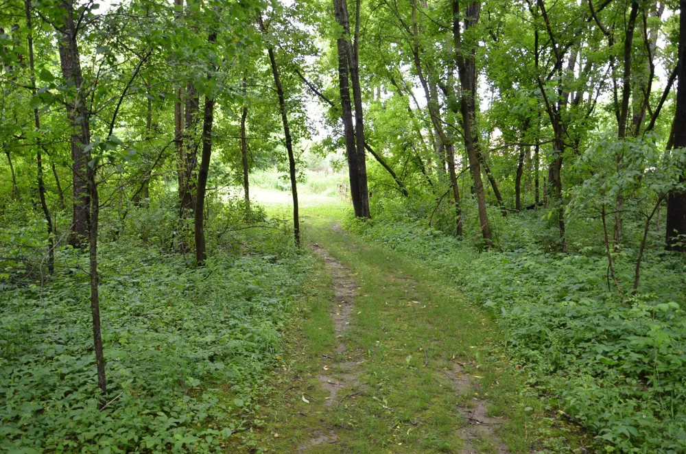 8874 1 Mile Road Leroy Township, MI 49051