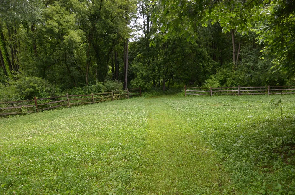8874 1 Mile Road Leroy Township, MI 49051