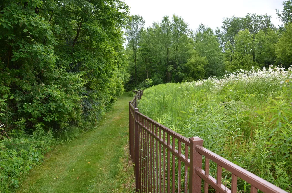 8874 1 Mile Road Leroy Township, MI 49051