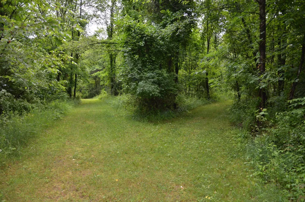 8874 1 Mile Road Leroy Township, MI 49051
