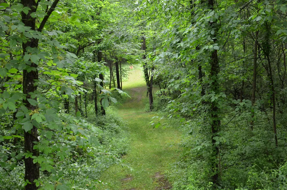 8874 1 Mile Road Leroy Township, MI 49051