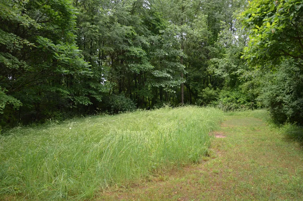 8874 1 Mile Road Leroy Township, MI 49051