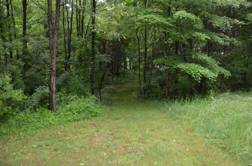 8874 1 Mile Road Leroy Township, MI 49051