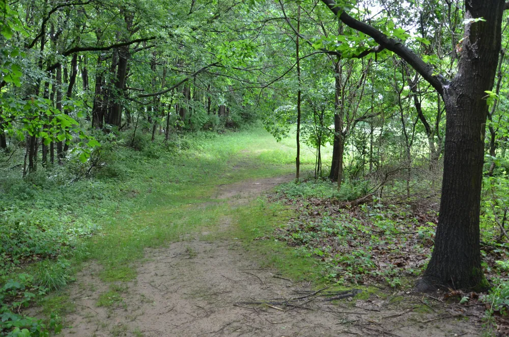 8874 1 Mile Road Leroy Township, MI 49051