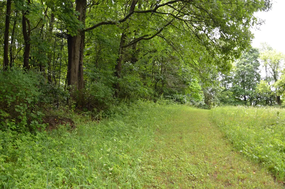 8874 1 Mile Road Leroy Township, MI 49051