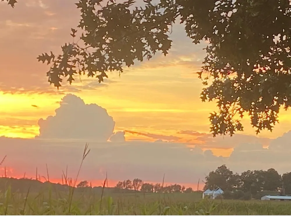 8874 1 Mile Road Leroy Township, MI 49051