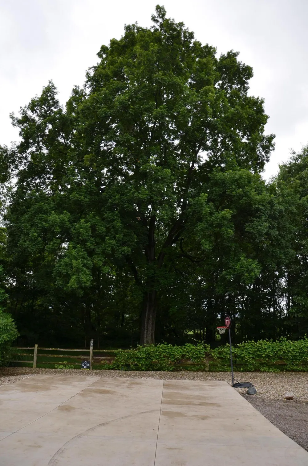 8874 1 Mile Road Leroy Township, MI 49051