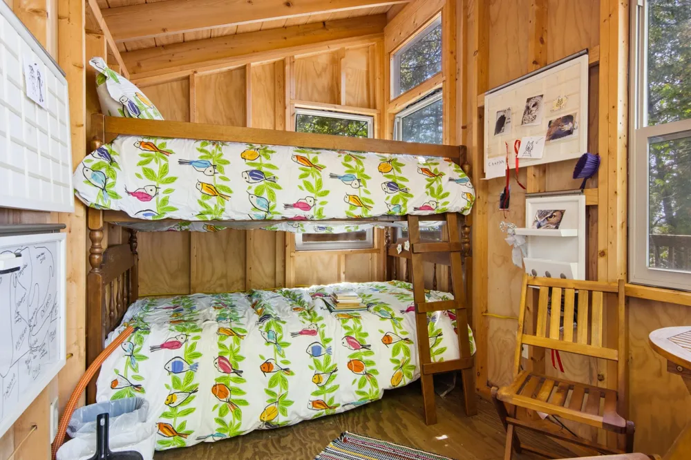 1143 Bay View Drive Torch Lake Township, MI 49648