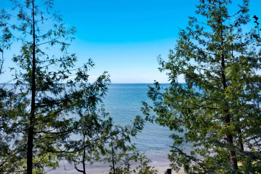 1143 Bay View Drive Torch Lake Township, MI 49648