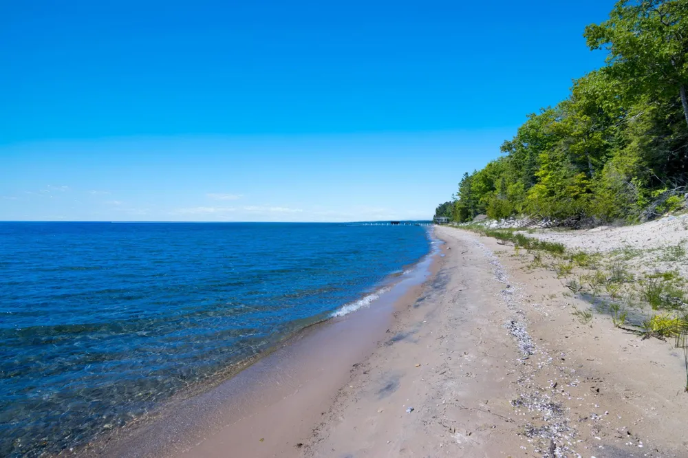 1143 Bay View Drive Torch Lake Township, MI 49648