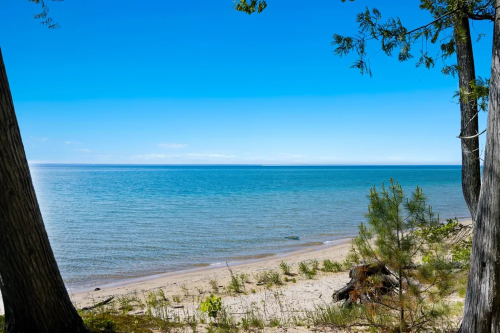 1143 Bay View Drive Torch Lake Township, MI 49648