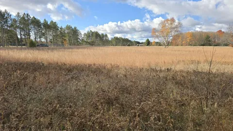 US-131 SW