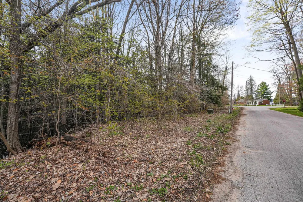 4125 White Birch Drive Green Lake Township, MI 49637