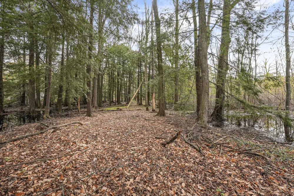 4125 White Birch Drive Green Lake Township, MI 49637