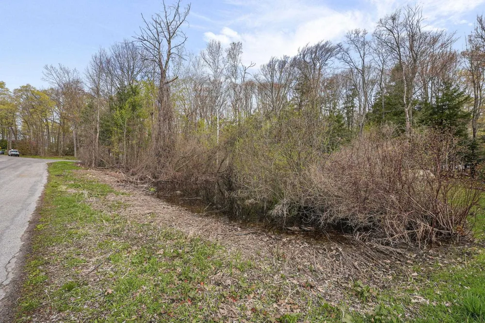 4125 White Birch Drive Green Lake Township, MI 49637