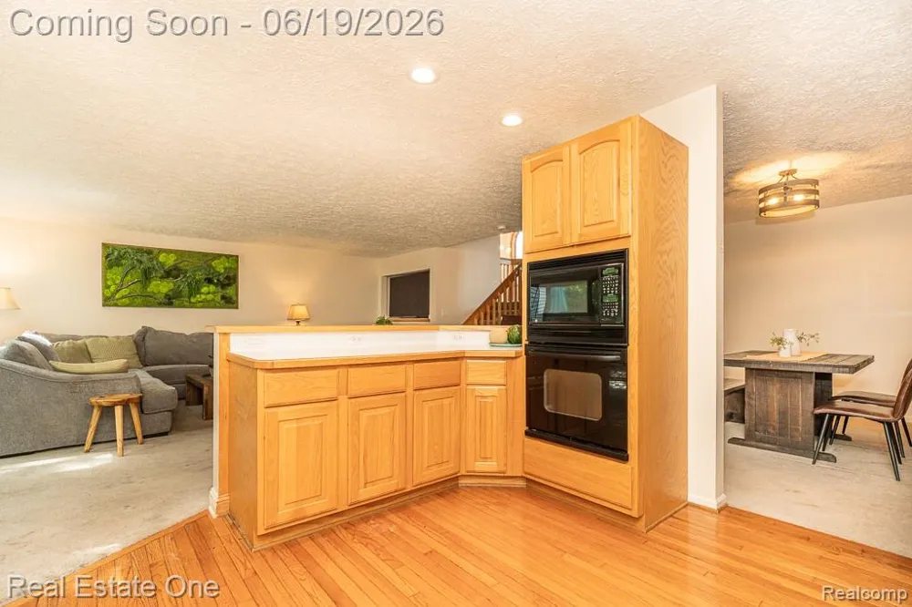 6595 Scenic Pines Court Independence Charter Township, MI 48346