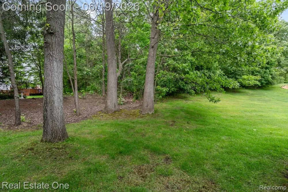 6595 Scenic Pines Court Independence Charter Township, MI 48346